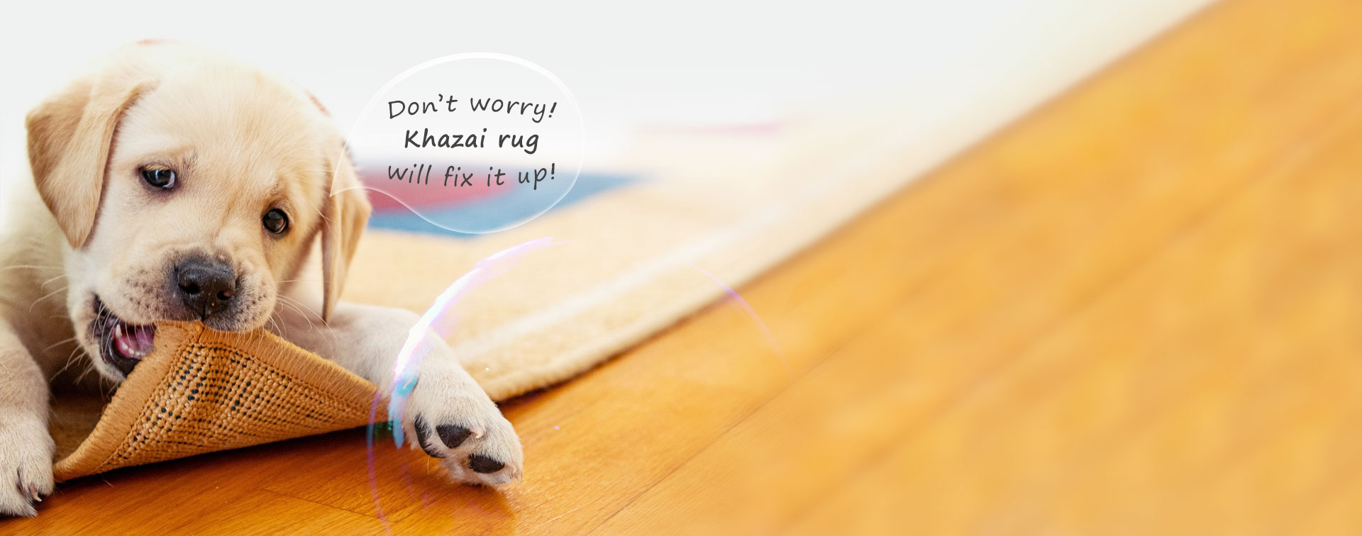 cleaning banner