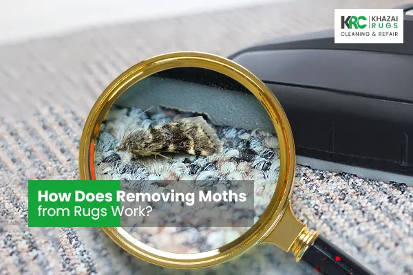 How Does Removing Moths from Rugs Work?