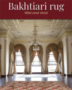 Bakhtiari-Rug ebook