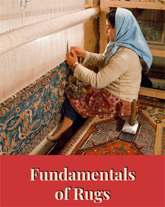 Rug-Fundamentals ebook