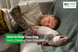 How to Stop Your Dog from Chewing Your Oriental Rug